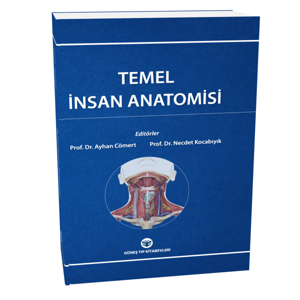 Temel İnsan Anatomisi