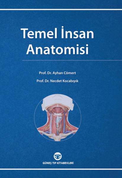 Temel İnsan Anatomisi