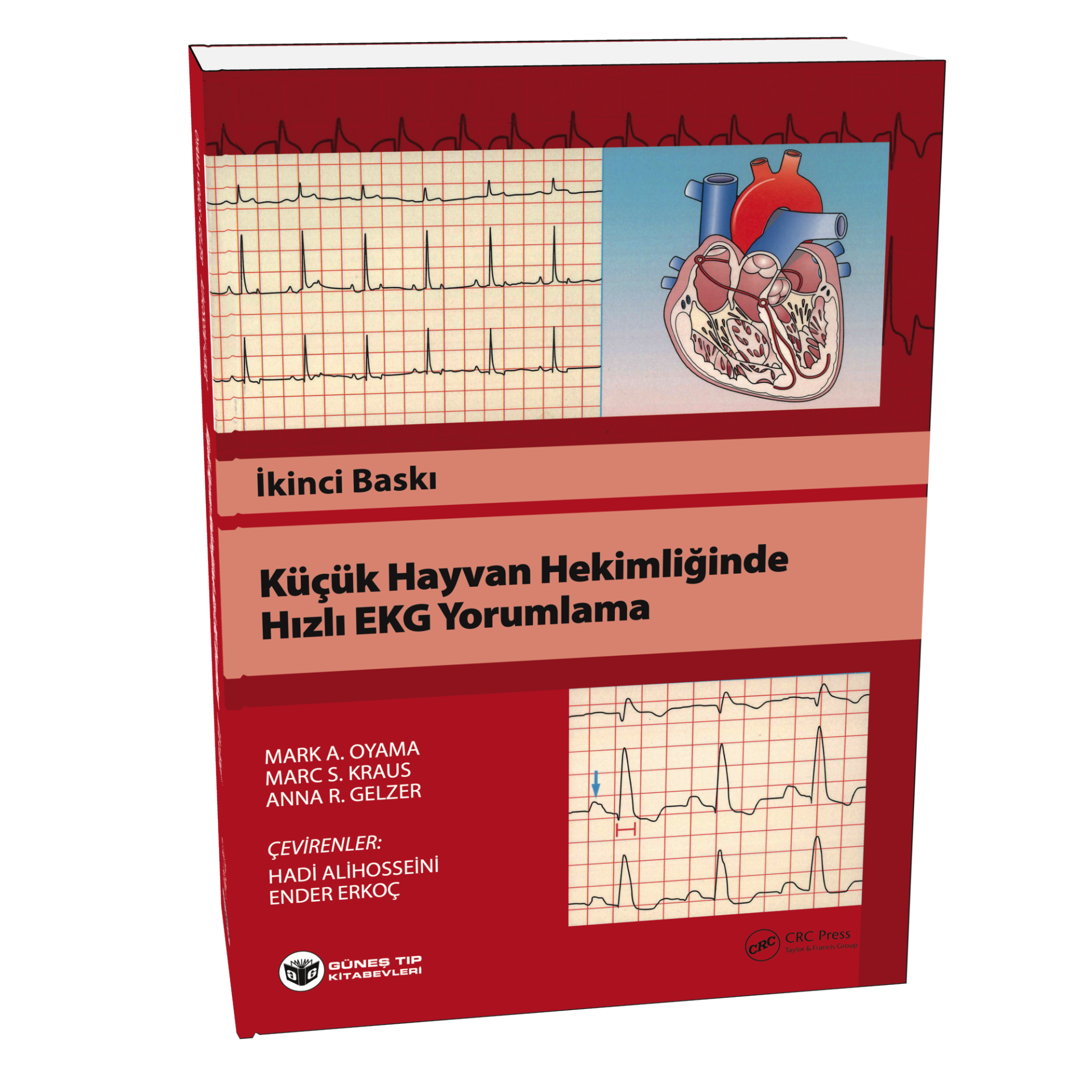 Küçük Hayvan Hekimliğinde Hızlı EKG Yorumlama