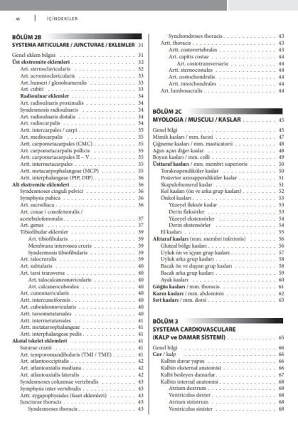 Çekirdek Eğitim Programı Çerçevesinde Temel İnsan Anatomisi 2.Baskı