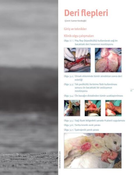 Deri Cerrahisinde KLİNİK OLGULAR