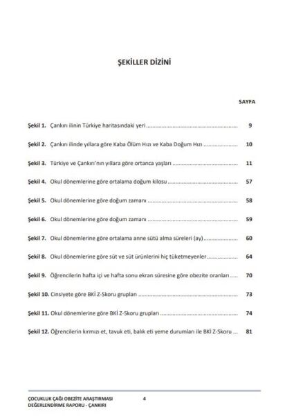 Çocukluk Çağı Şişmanlık Araştırması