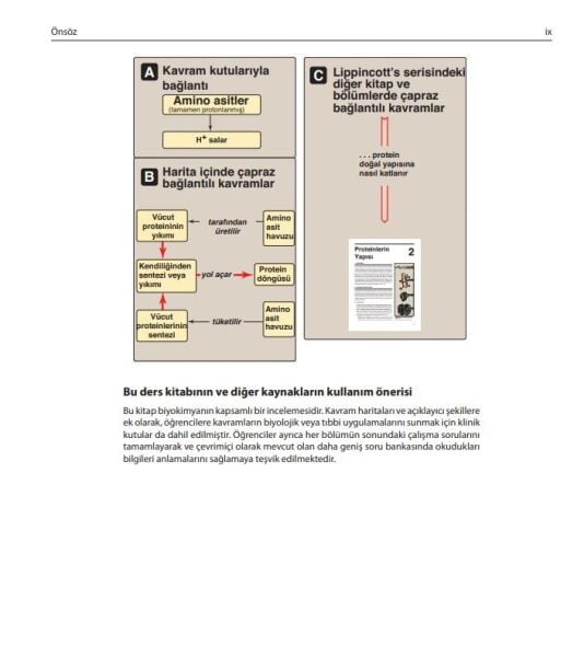 Lippincott Biyokimya: Görsel Anlatımlı Çalışma Kitapları