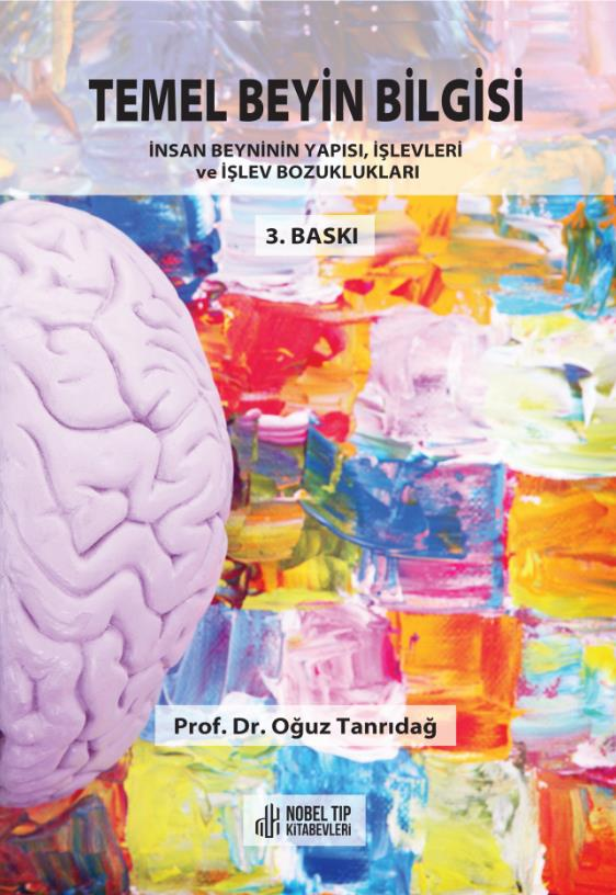 Temel Beyin Bilgisi: İnsan Beyninin Yapısı, İşlevleri ve İşlev Bozukluğu
