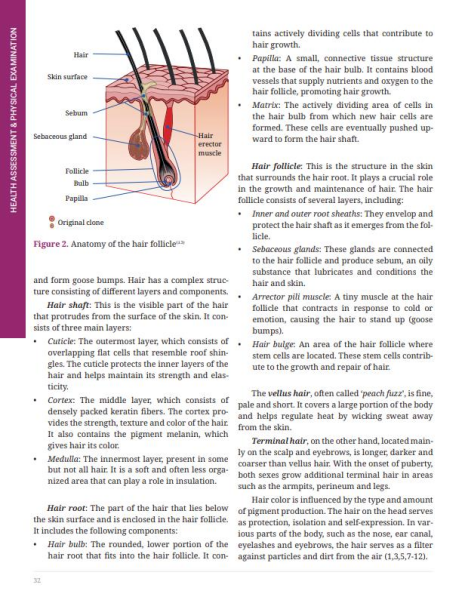 Health Assessment Physical Examination in Nursing