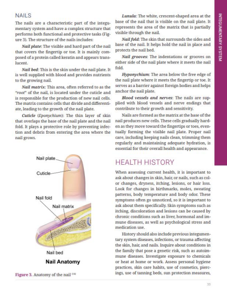 Health Assessment Physical Examination in Nursing