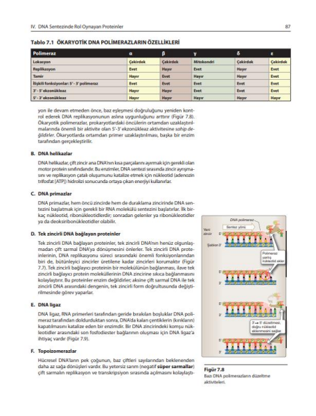 Lippincott Hücre ve Moleküler Biyoloji