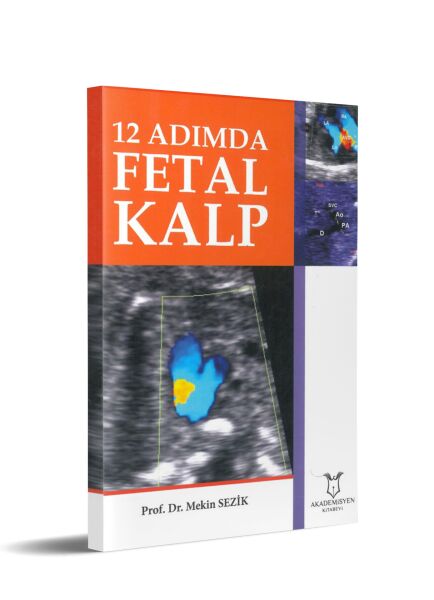 12 Adımda Fetal Kalp Muayenesi