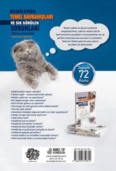 Kedilerin Temel Davranışları ve Sık Görülen Sorunlar