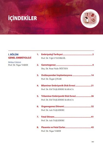 Temelden Kliniğe Kadın Genital Sistem