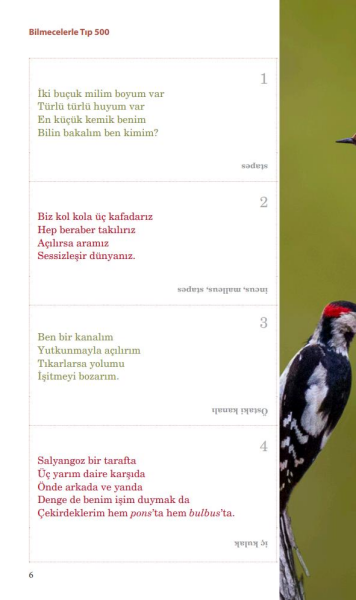 Bilmecelerle Tıp 500
