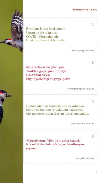 Bilmecelerle Tıp 500