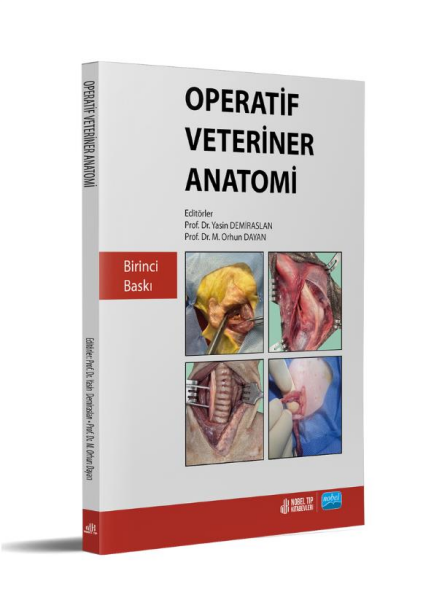 Operatif Veteriner Anatomi