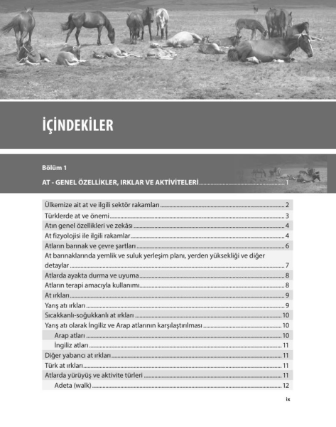 Yarış Atı ve Genel At Besleme – Beslenme Hastalıkları