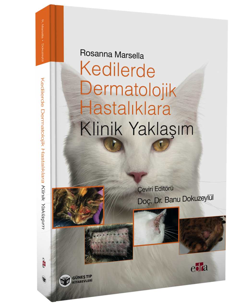 Kedilerde Dermatolojik Hastalıklara Klinik Yaklaşım