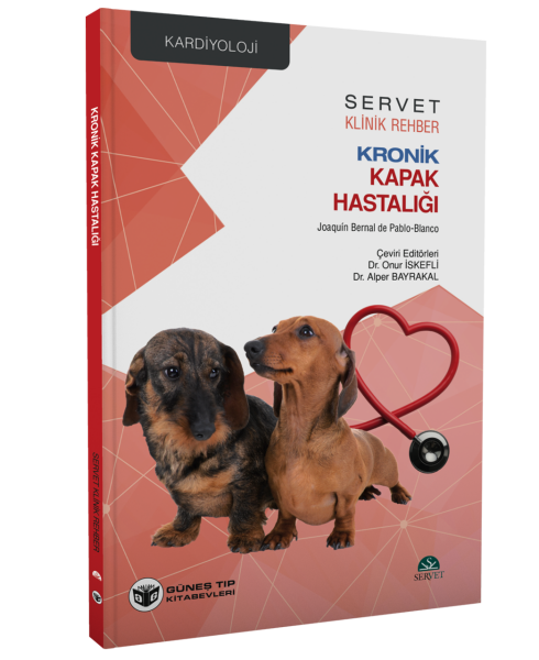 Kronik Kapak Hastalığı