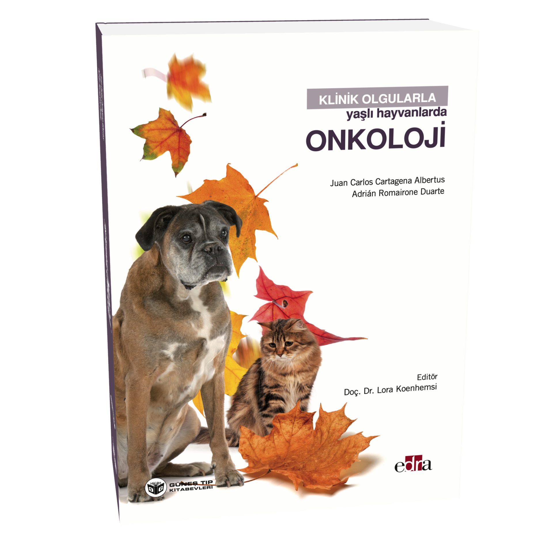 Klinik Olgularla Yaşlı Hayvanlarda Onkoloji