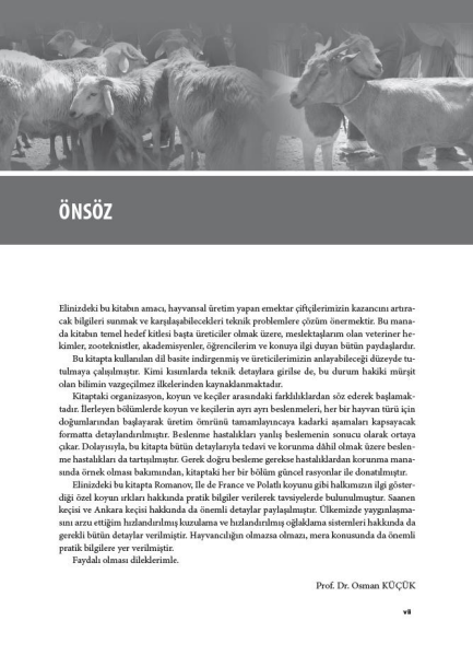 Pratik Koyun ve Keçi Beslenme - Beslenme Hastalıkları