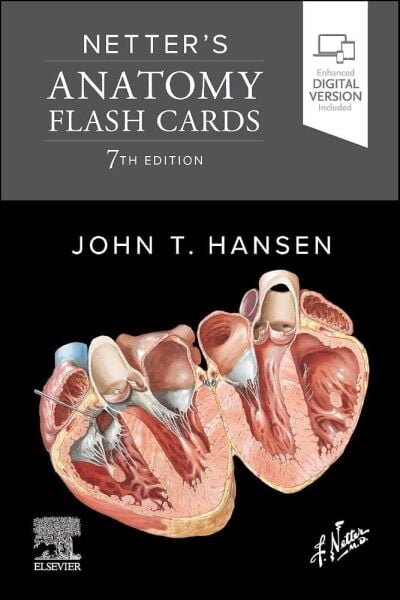 Netters Anatomy Flash Cards