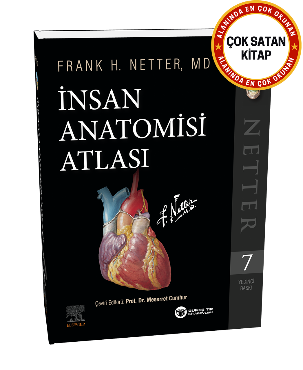 Netter İnsan Anatomisi Atlası