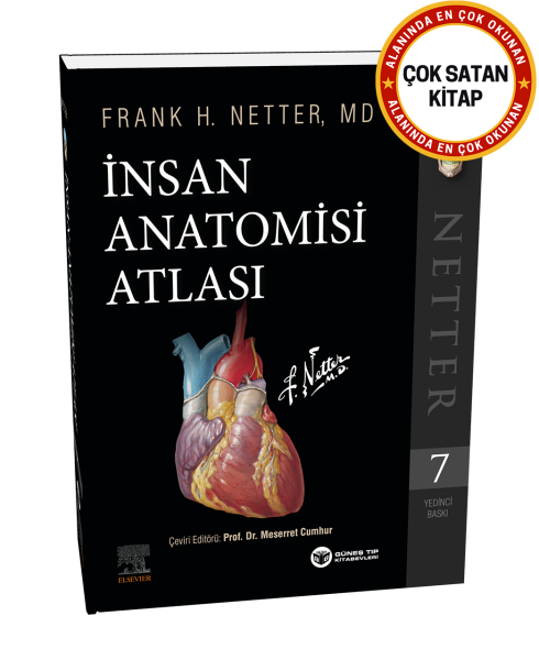 Netter İnsan Anatomisi Atlası