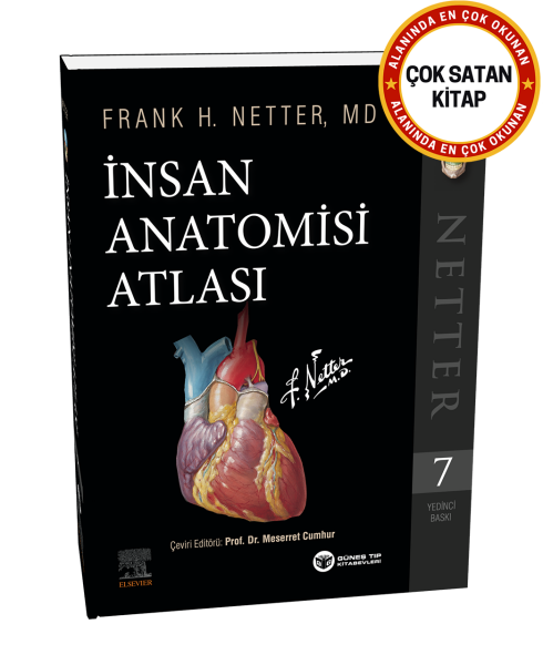 Netter İnsan Anatomisi Atlası