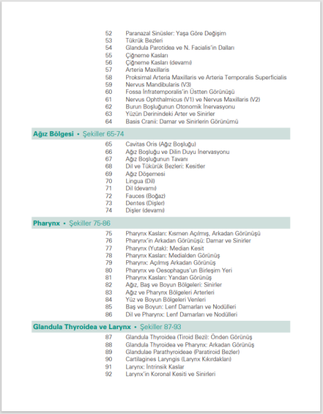 Netter İnsan Anatomisi Atlası