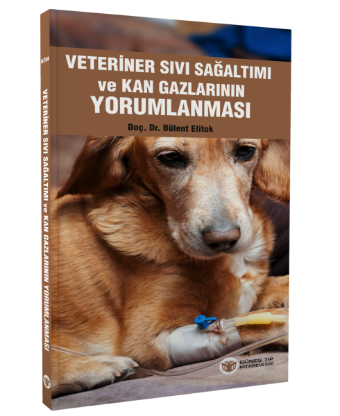 Veteriner Sıvı Sağaltımı ve Kan Gazlarının Yorumlanması