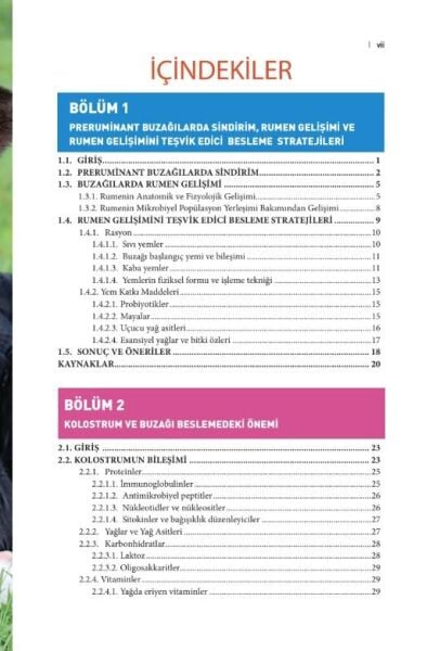 Buzağı Besleme