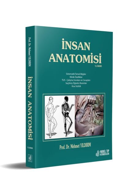 İnsan Anatomisi / Yıldırım ( 12. Baskı )