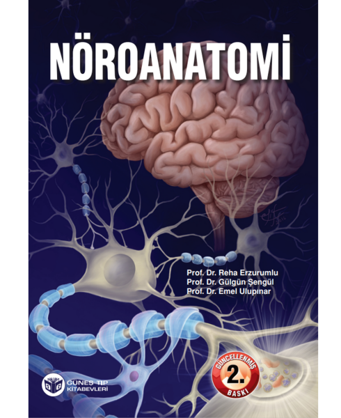 Nöroanatomi (Güncellenmiş 2. Baskı)