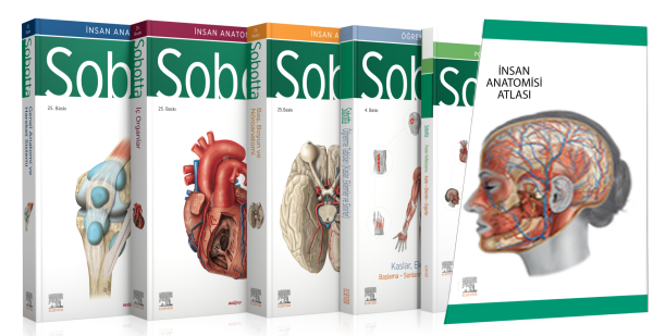 Sobotta İnsan Anatomisi Atlası Seti 4 Cilt ( 25. En Son Baskı - Türkçe 13. En Son Baskı)