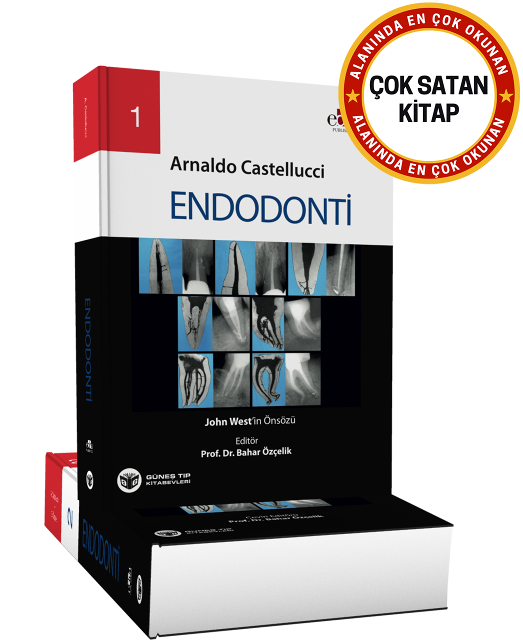 Endodonti 2 Cilt