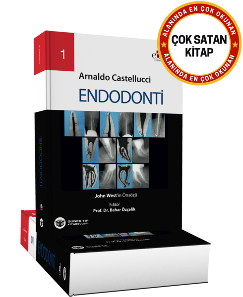 Endodonti 2 Cilt