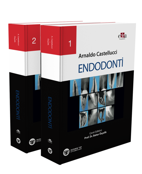Endodonti 2 Cilt