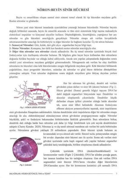 Baş, Ağrıları, Migren Bütüncül Tanı ve Tedavi