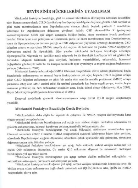 Baş, Ağrıları, Migren Bütüncül Tanı ve Tedavi