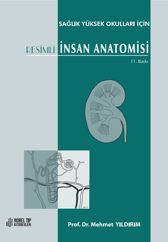 Sağlık Yüksek Okulları için Resimli İnsan Anatomisi 11. Baskı