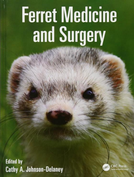 Ferret Medicine and Surgery