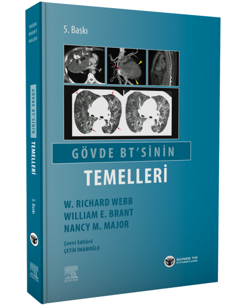 Gövde BT 'sinin Temelleri